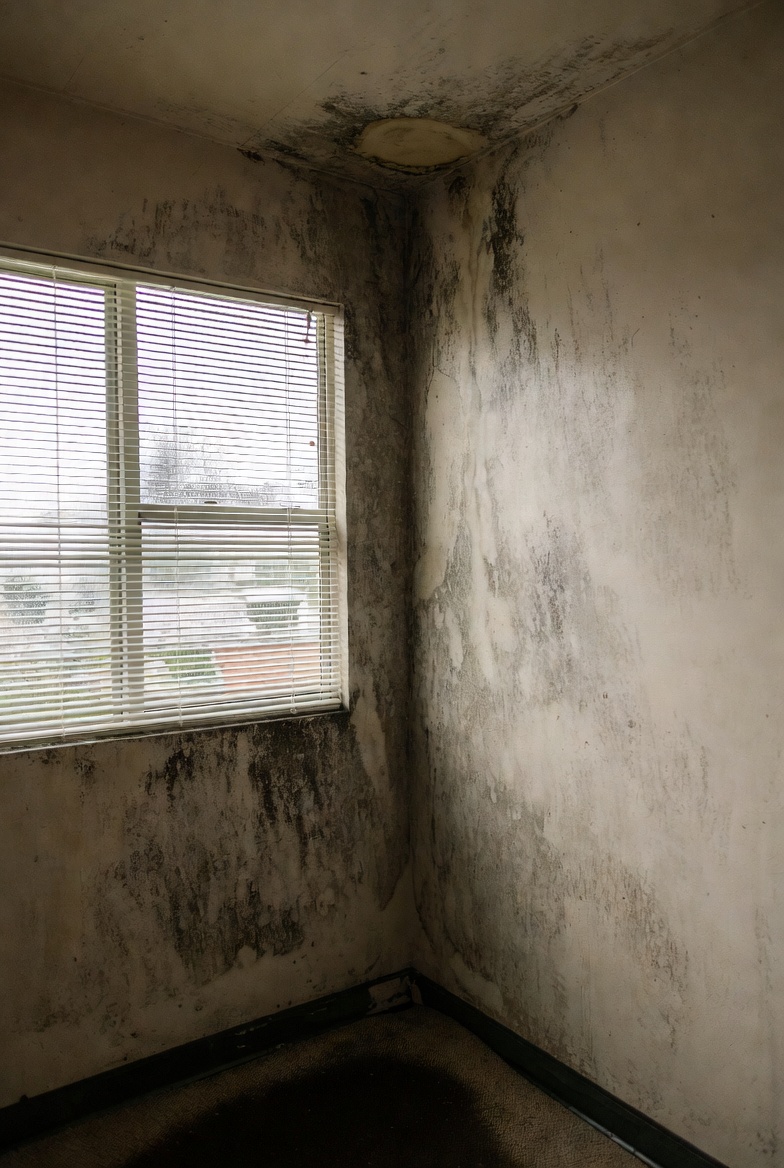 梅雨季小房間霉味：RH 目標一口氣訂對（不用再猜）