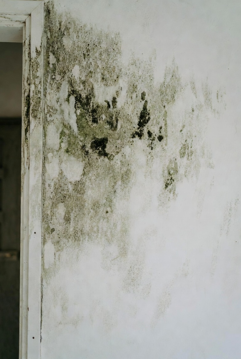 梅雨「狂通風」可能更霉：因為你在引入高濕外氣（不是你家太髒）