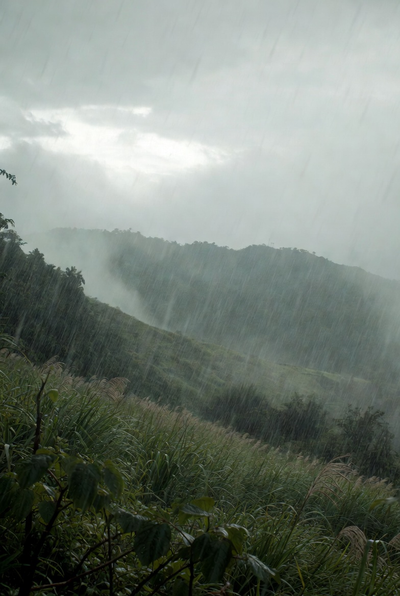 梅雨季：用 RH 曲線判斷除濕排程要不要改（不是只看「現在幾%」）